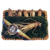 ��ǰ ������